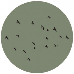 lage-res-birds-groencm.jpg