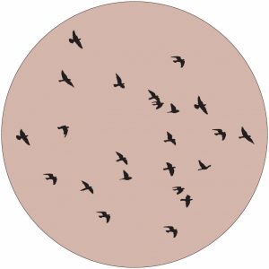 lr-Birds-rose-oudrose-40cm.jpg