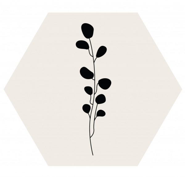 zwarte-plant-hexagon.jpg