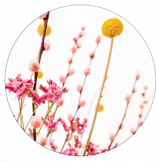 pink-en-yellow-flowers-30cm.jpg