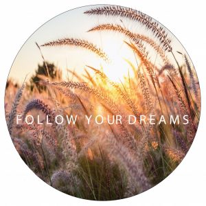 follow-your-dreams--40cm.jpg